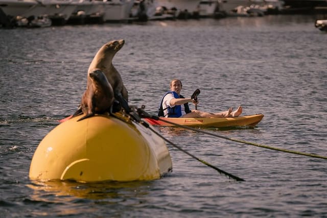 Single Kayak Rental in Mission Bay - Photo 1 of 6